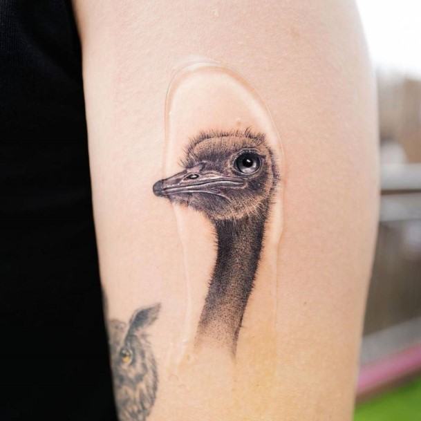 Good Ostrich Tattoos For Women