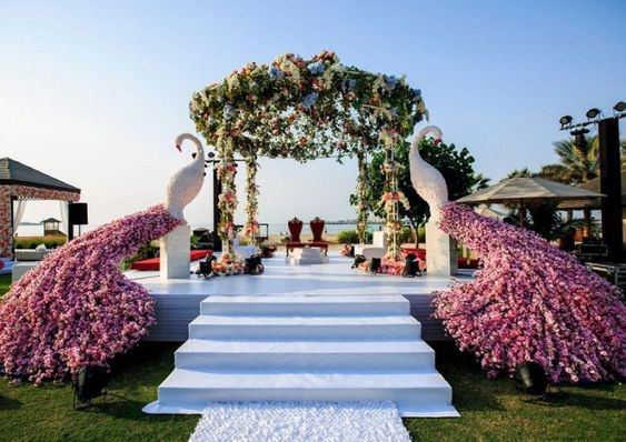 Gorgeous Peacock At Wedding Stage Decorations