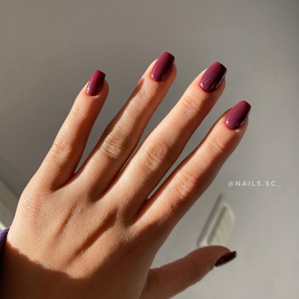 Great Dark Maroon Nails For Women