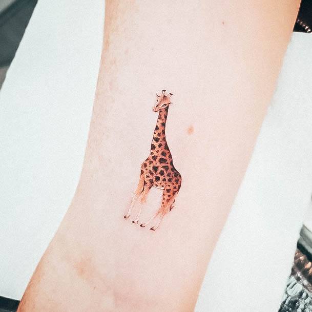 Great Giraffe Tattoos For Women
