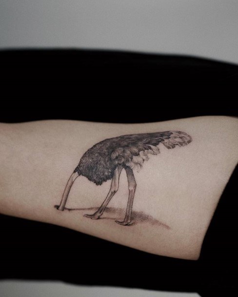 Great Ostrich Tattoos For Women