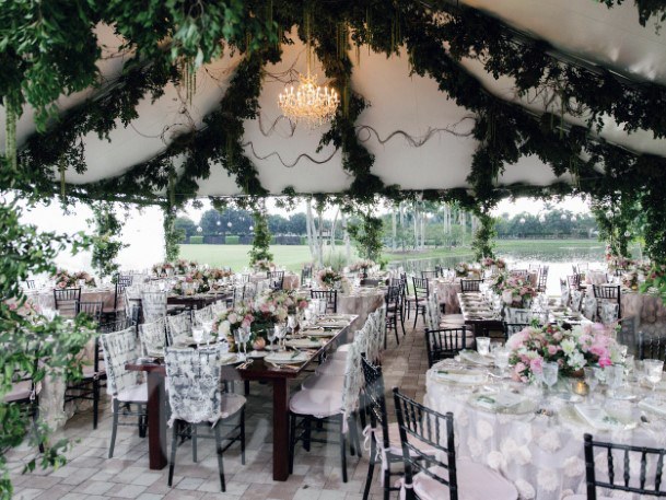 Green Creepers Wedding Ceilin Decorations