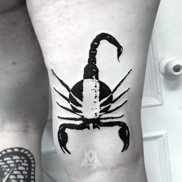 Harrowing Scorpion Tattoo Womens Arms