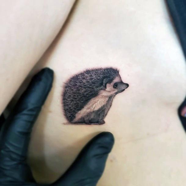 Hedgehog Tattoo For Ladies