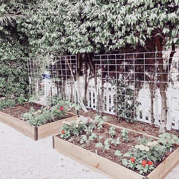 How To Make A Raised Best Garden Bed