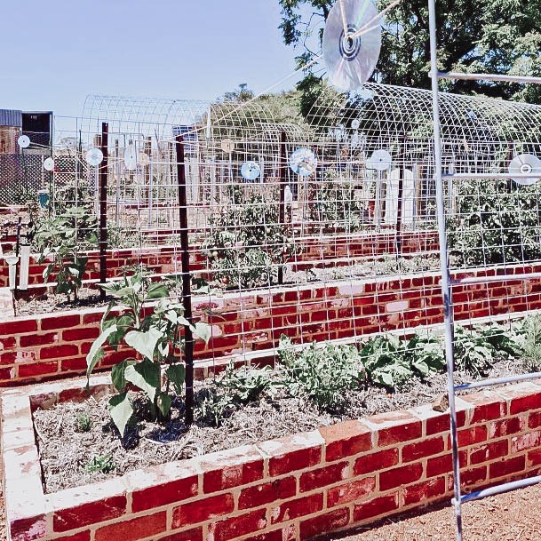 Ideas Brick Elevated Planting Box