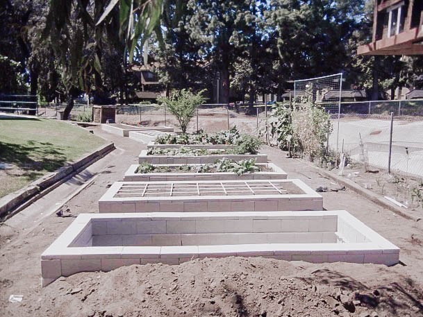 Ideas Cinderblock Elevated Planting Box