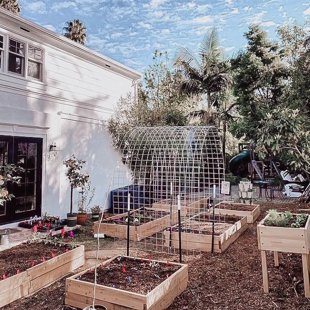 Ideas For Building A Best Raised Garden Bed