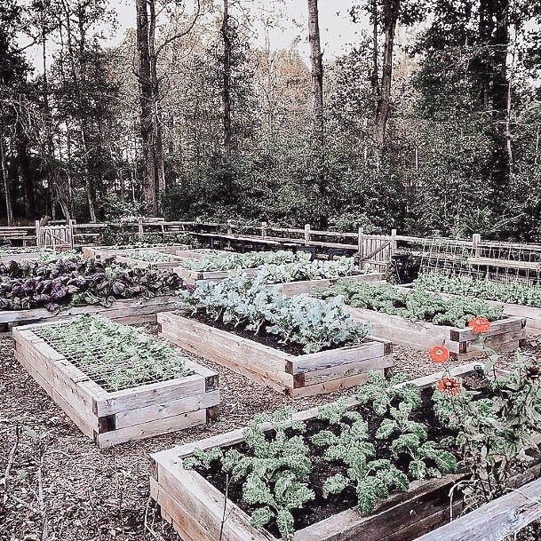 Ideas For Building A Inexpensive Raised Garden Bed