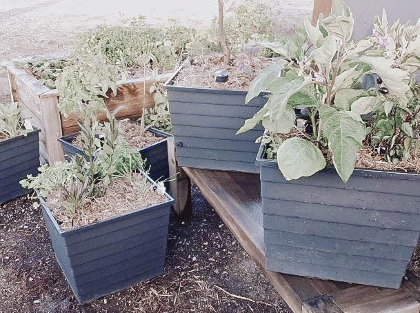 Ideas For Raised Garden Beds Plastic