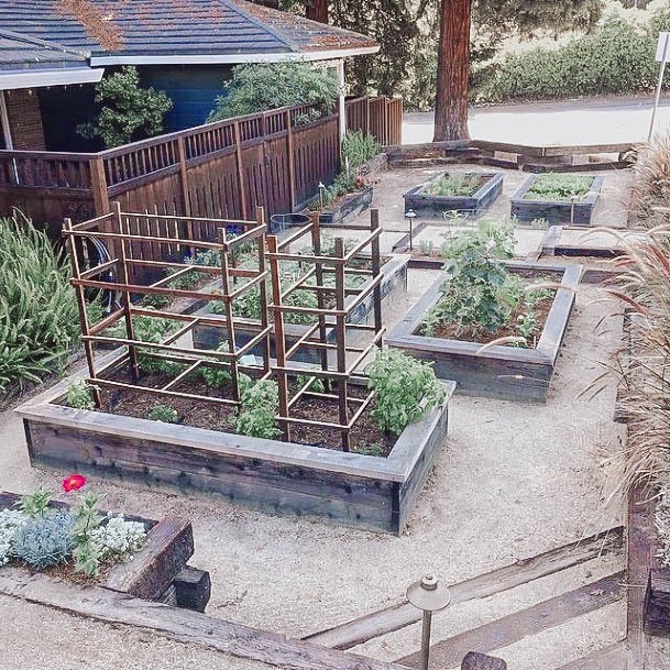 Ideas For Raised Garden Beds Wood