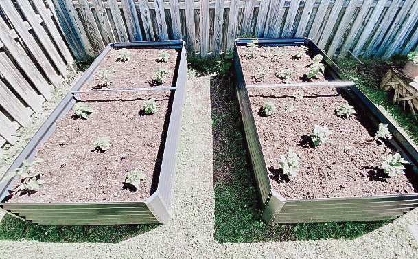 Ideas Galvanized Raised Bed Garden