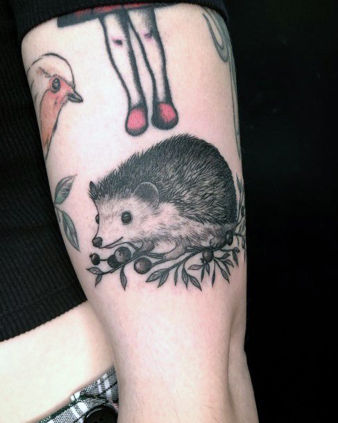 Impressive Ladies Hedgehog Tattoo