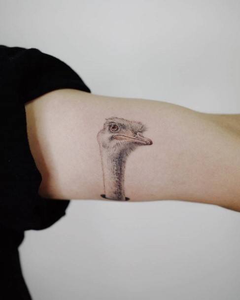 Impressive Ladies Ostrich Tattoo