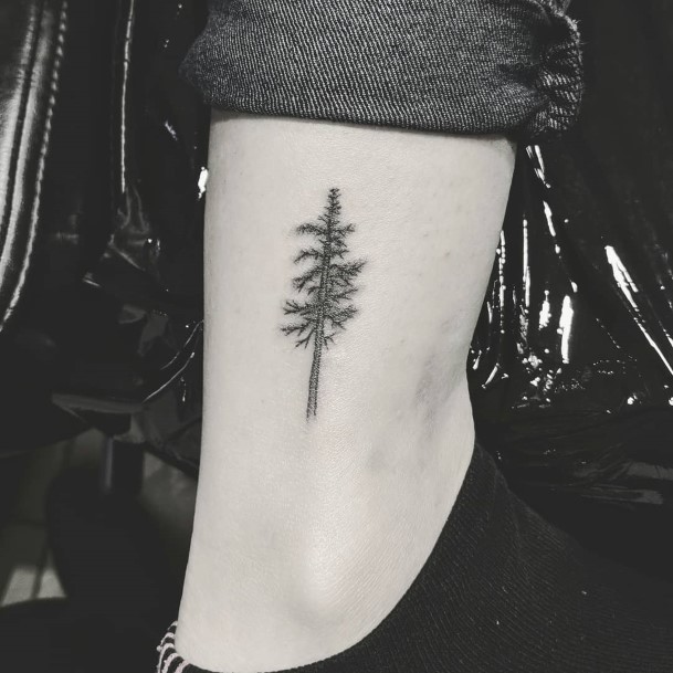 Top 100 Best Pine Tree Tattoos For Women - Forest Design Ideas