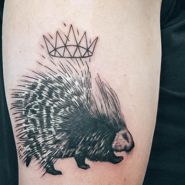 Top 100 Best Porcupine Tattoos For Women Sharp Quill Design Ideas