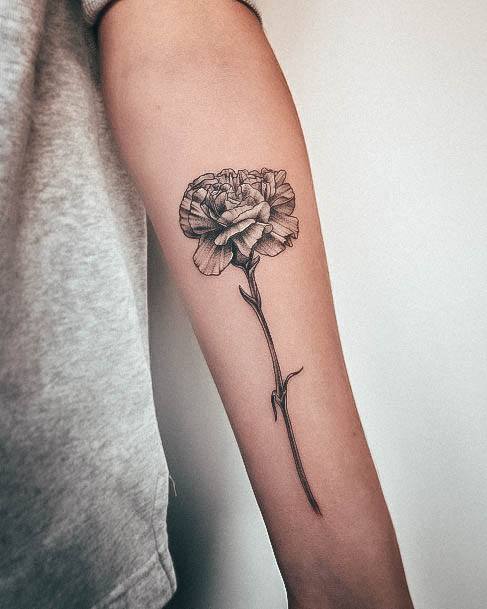 Incredible Carnation Tattoo For Ladies