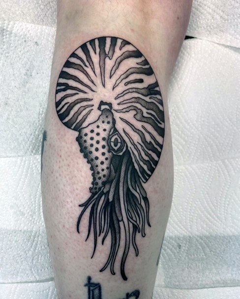 Incredible Nautilus Tattoo For Ladies