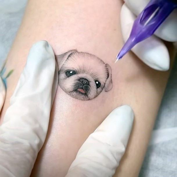 Incredible Pet Tattoo For Ladies