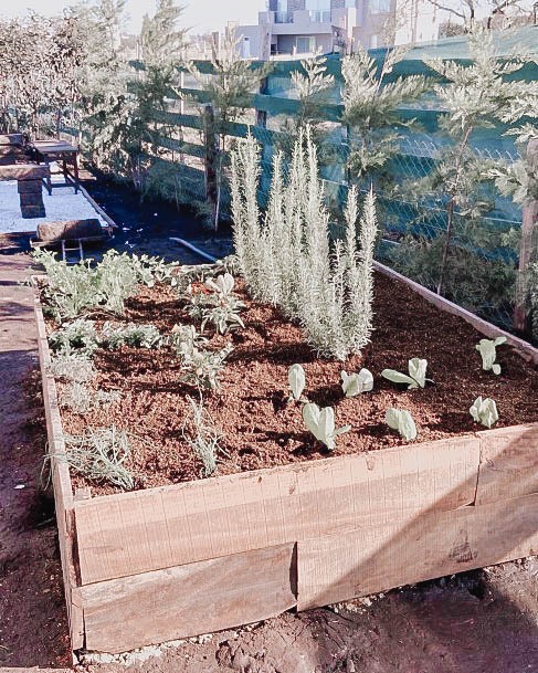 Incredible Raised Garden Bed Inexpensive Ideas