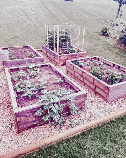 Incredible Raised Garden Bed Wood Ideas
