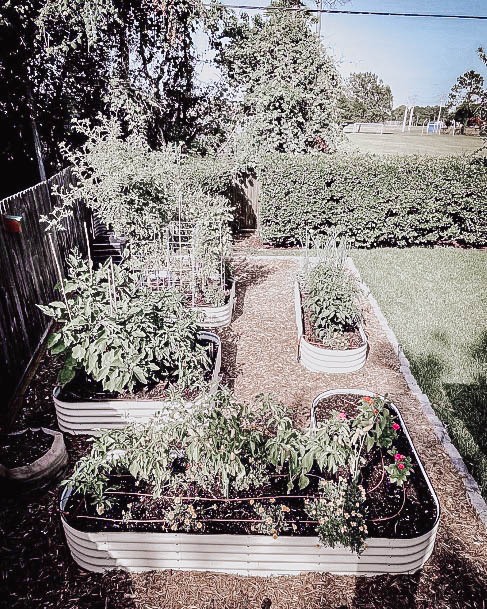 Inexpensive Vegtable Garden Bed Ideas