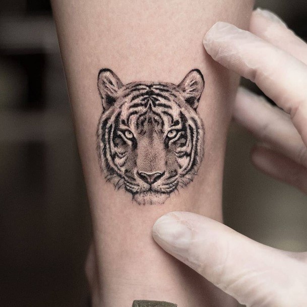 Intense Tiger Tattoo Womens Arms