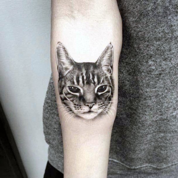 Irritated Cat Face Tattoo Womens Arms