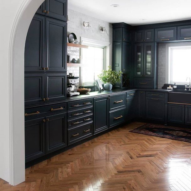 Kitchen Cabinet Ideas Dark Colors Inspiration