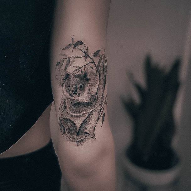 Koala Koala Tattoo Designs For Women