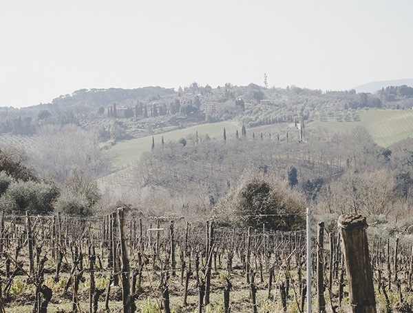 La Lastra Siena Italy Wine Best Travel Tuips
