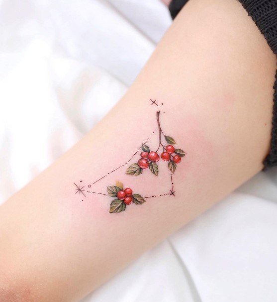 Ladies Capricorn Tattoo Design Inspiration