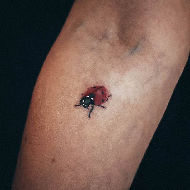 Ladies Ladybug Tattoo Design Inspiration