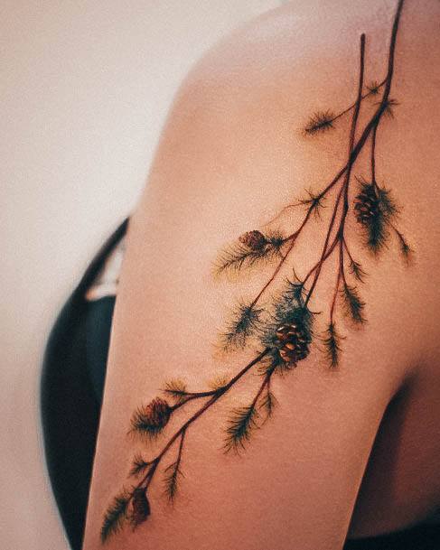 fir tree branch tattoo