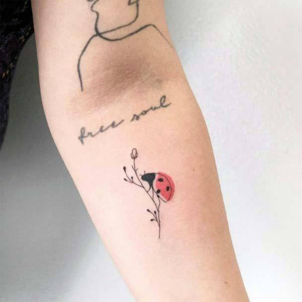 Lady Bug Small Cute Tattoo Womens Arms