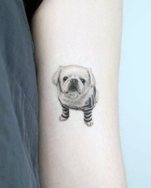 Lady With Elegant Pet Tattoo Body Art