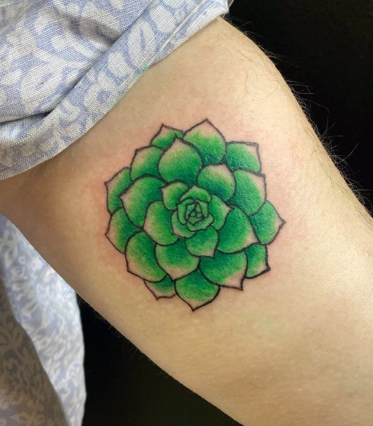 Lady With Elegant Succulent Tattoo Body Art