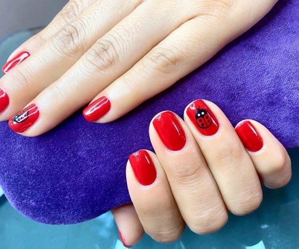 Ladybug Nail Design Inspiration For Women