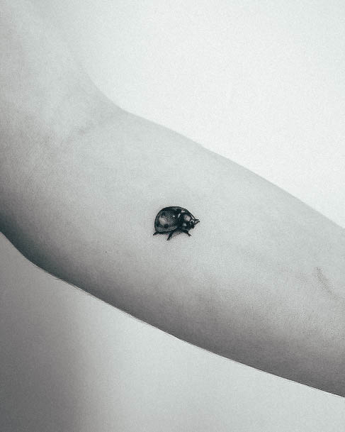 Ladybug Tattoos For Girls