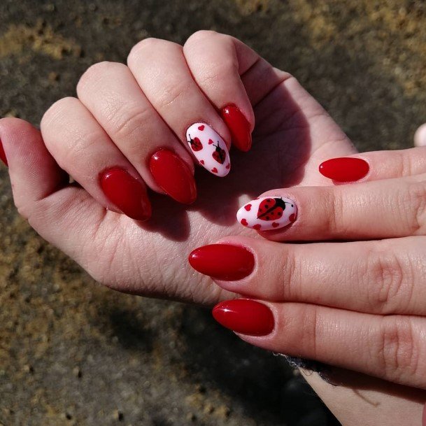 Ladybug Womens Nail Designs