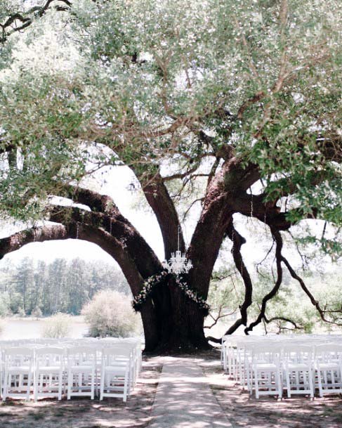 Large Tree Wedding Decor