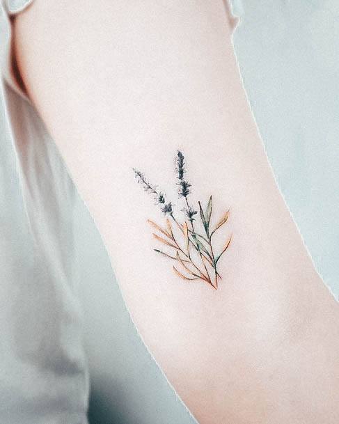 Lavender Tattoos For Girls