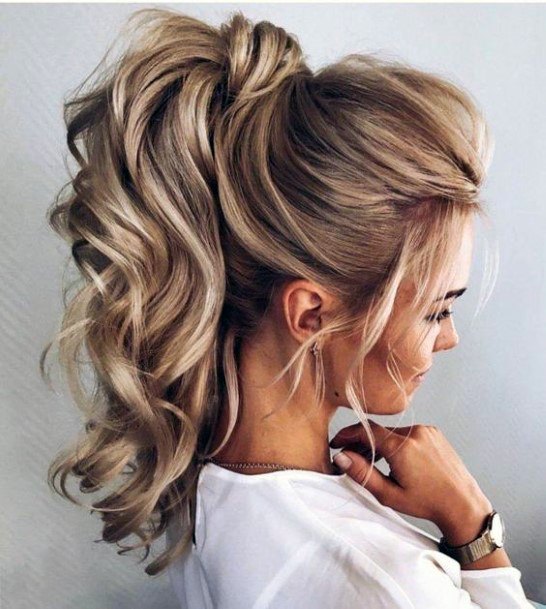 Light Brown With White Highlights Pulled Back Into Curled Ponytail