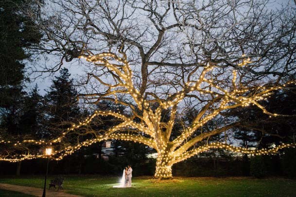 Lighted Bulb Wedding Tree Decor