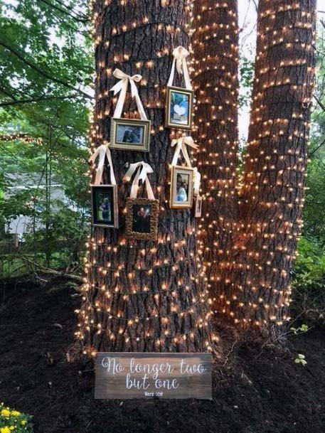 Lighted Tree With Photo Frames Wedding Tree Decor