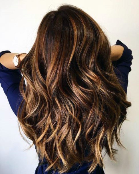 Long Hair Ombre Dark To Light Brown Thick Wavy Curls