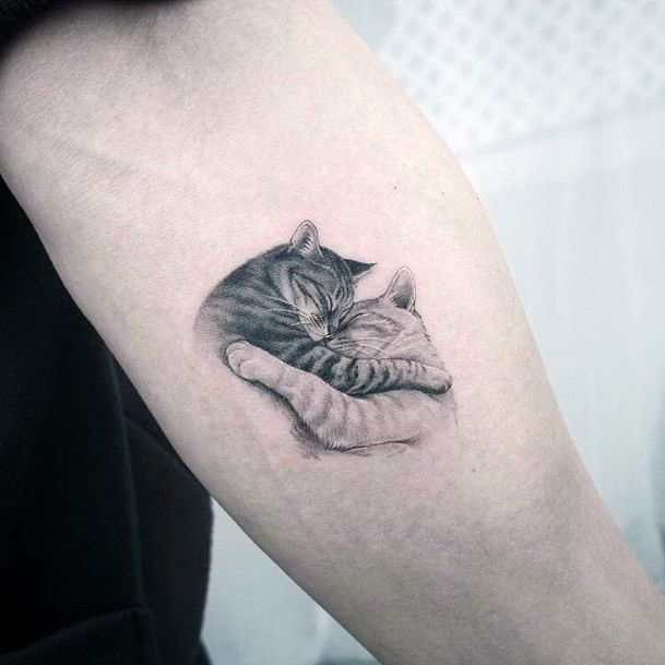 Loving Hug Cats Tattoo For Women Arms Art