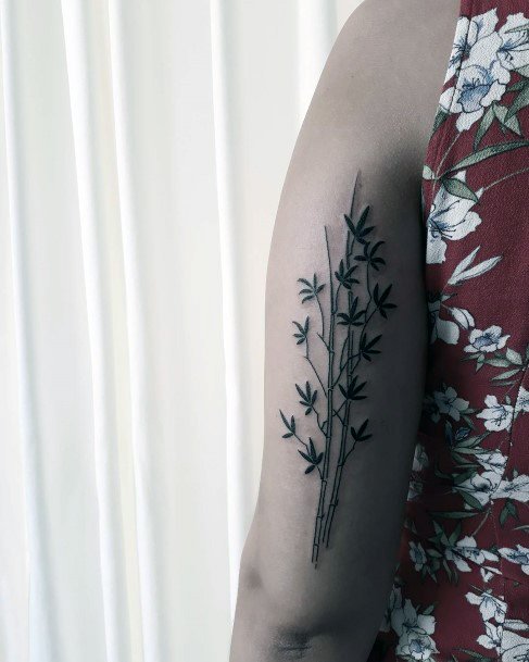 Luscious Designs Womens Bamboo Tattoo Ideas