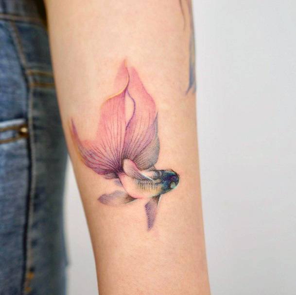 Luscious Designs Womens Betta Fish Tattoo Ideas