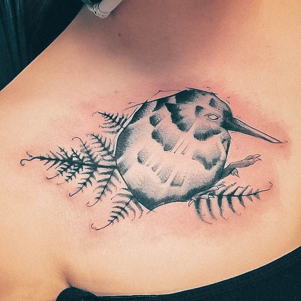 Luscious Designs Womens Kiwi Bird Tattoo Ideas